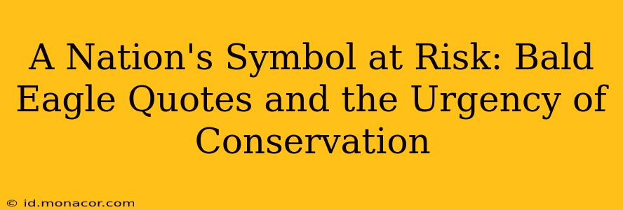 A Nation's Symbol at Risk: Bald Eagle Quotes and the Urgency of Conservation
