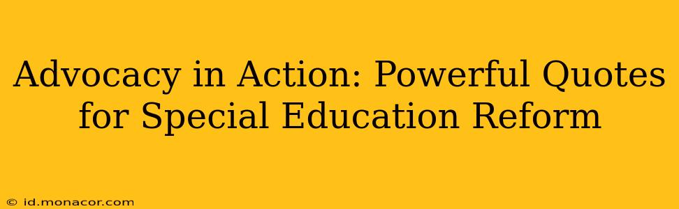 Advocacy in Action: Powerful Quotes for Special Education Reform