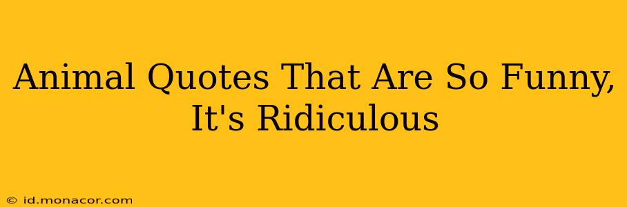 Animal Quotes That Are So Funny, It's Ridiculous