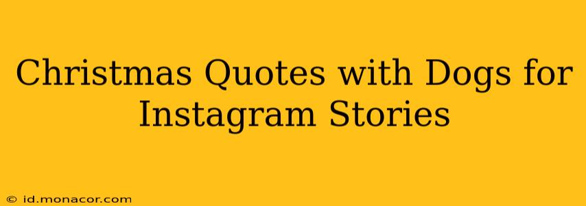 Christmas Quotes with Dogs for Instagram Stories