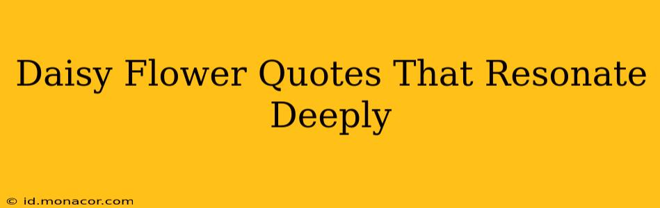 Daisy Flower Quotes That Resonate Deeply