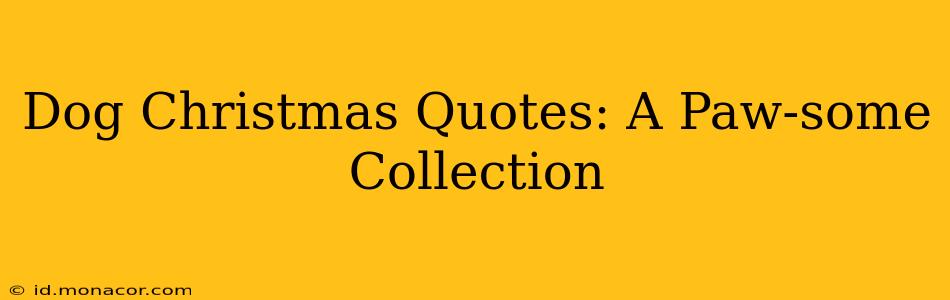Dog Christmas Quotes: A Paw-some Collection