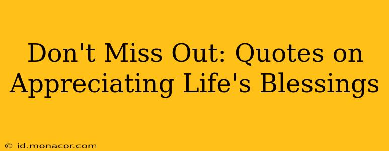 Don't Miss Out: Quotes on Appreciating Life's Blessings