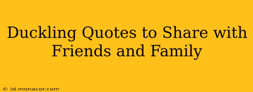 Duckling Quotes to Share with Friends and Family