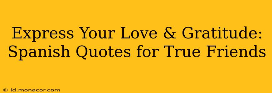 Express Your Love & Gratitude: Spanish Quotes for True Friends