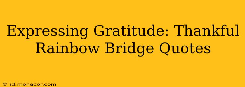 Expressing Gratitude: Thankful Rainbow Bridge Quotes