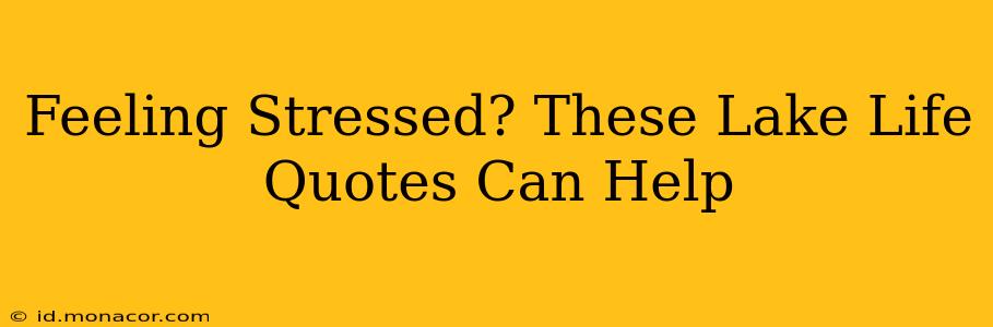 Feeling Stressed? These Lake Life Quotes Can Help
