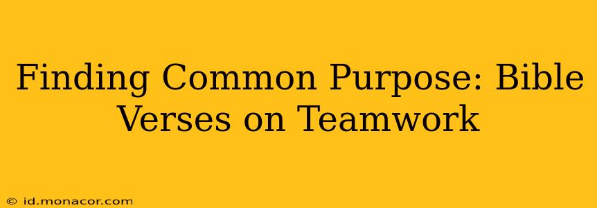 Finding Common Purpose: Bible Verses on Teamwork