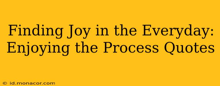 Finding Joy in the Everyday: Enjoying the Process Quotes