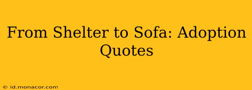 From Shelter to Sofa: Adoption Quotes
