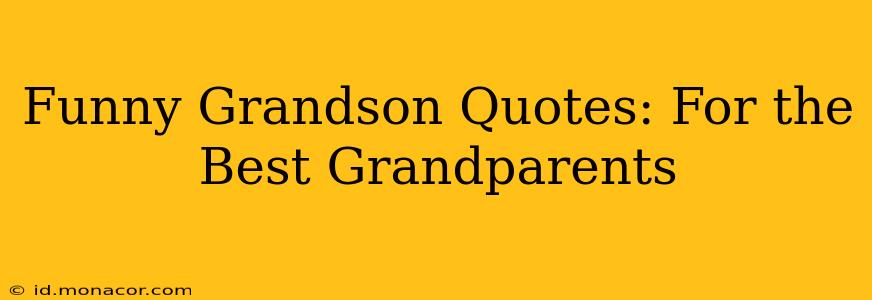 Funny Grandson Quotes: For the Best Grandparents
