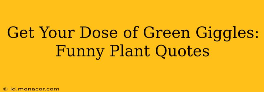 Get Your Dose of Green Giggles: Funny Plant Quotes