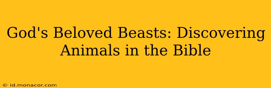 God's Beloved Beasts: Discovering Animals in the Bible