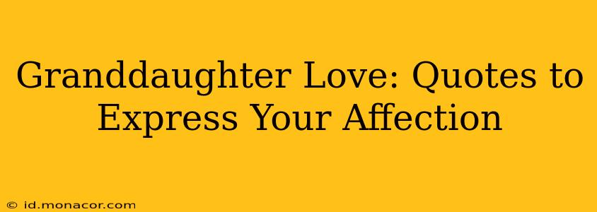Granddaughter Love: Quotes to Express Your Affection