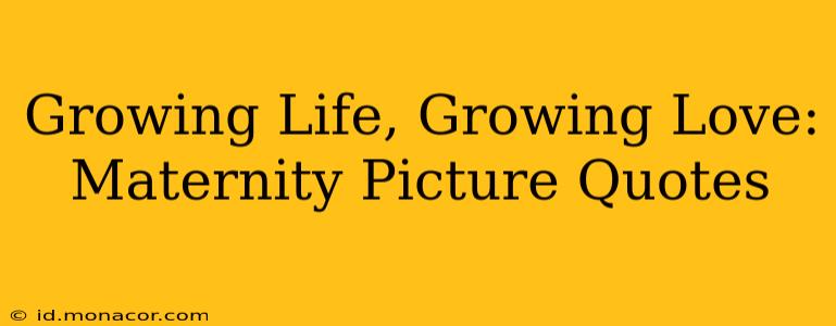 Growing Life, Growing Love: Maternity Picture Quotes