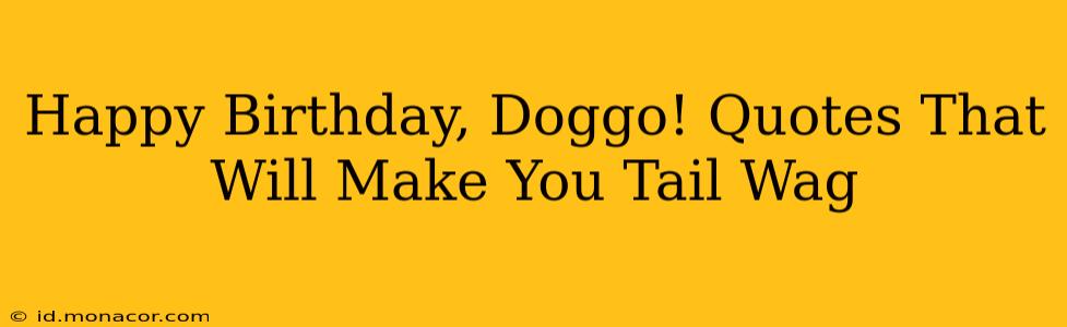 Happy Birthday, Doggo! Quotes That Will Make You Tail Wag