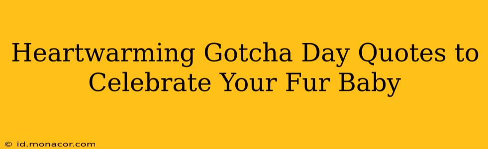 Heartwarming Gotcha Day Quotes to Celebrate Your Fur Baby