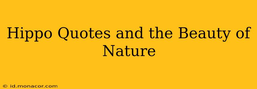Hippo Quotes and the Beauty of Nature