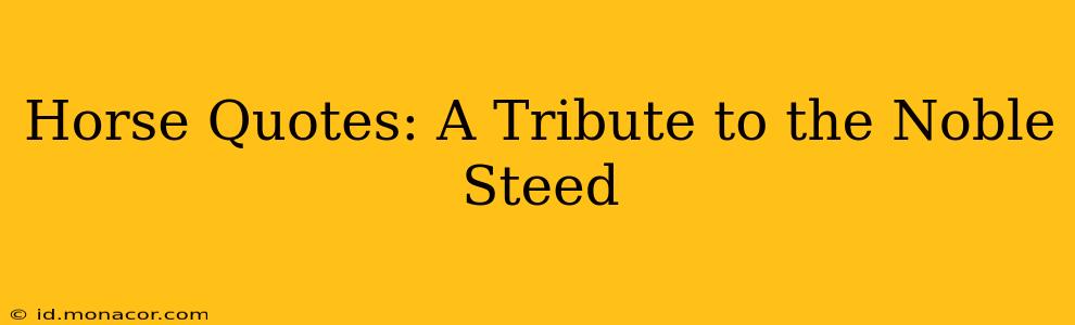 Horse Quotes: A Tribute to the Noble Steed
