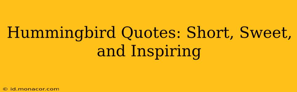 Hummingbird Quotes: Short, Sweet, and Inspiring