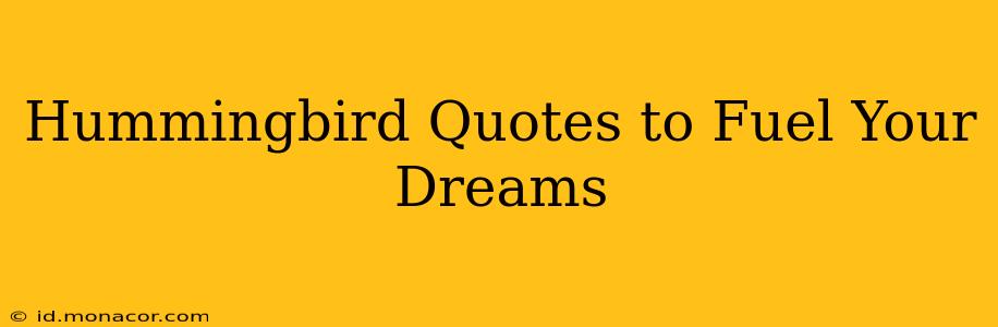 Hummingbird Quotes to Fuel Your Dreams