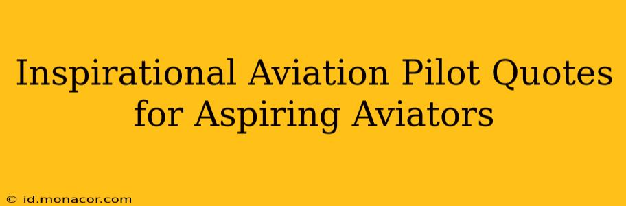 Inspirational Aviation Pilot Quotes for Aspiring Aviators