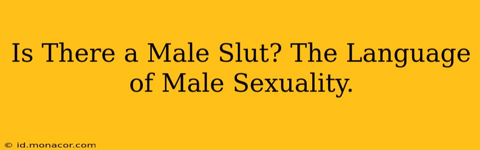 Is There a Male Slut? The Language of Male Sexuality.