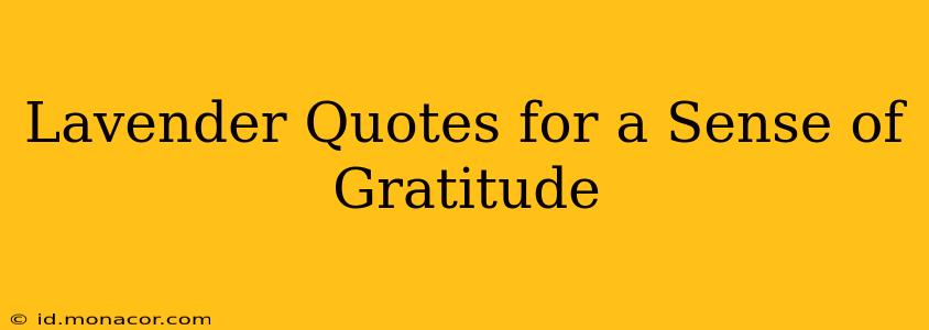 Lavender Quotes for a Sense of Gratitude