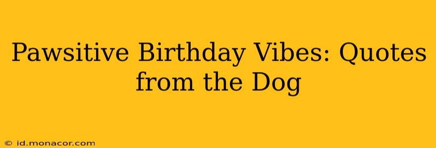 Pawsitive Birthday Vibes: Quotes from the Dog