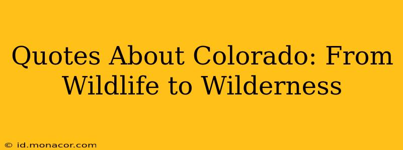 Quotes About Colorado: From Wildlife to Wilderness