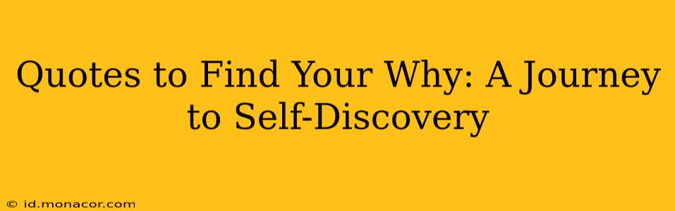 Quotes to Find Your Why: A Journey to Self-Discovery