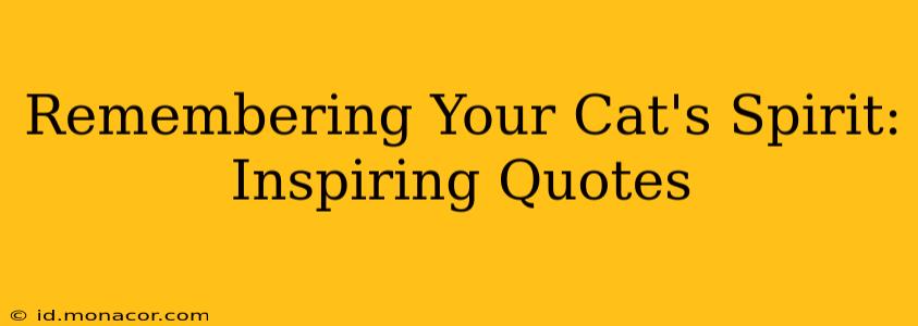 Remembering Your Cat's Spirit: Inspiring Quotes