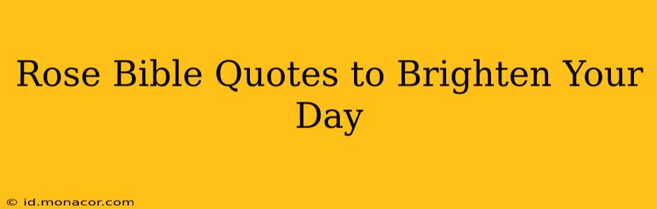 Rose Bible Quotes to Brighten Your Day