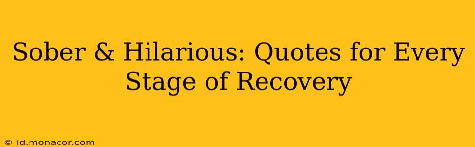 Sober & Hilarious: Quotes for Every Stage of Recovery