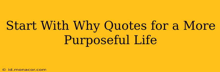 Start With Why Quotes for a More Purposeful Life