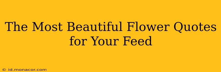 The Most Beautiful Flower Quotes for Your Feed