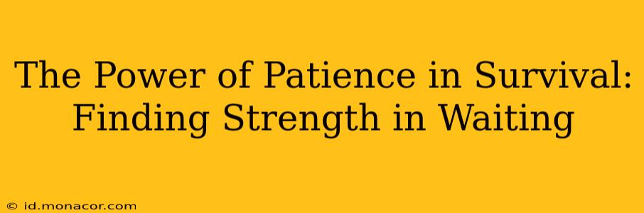 The Power of Patience in Survival: Finding Strength in Waiting