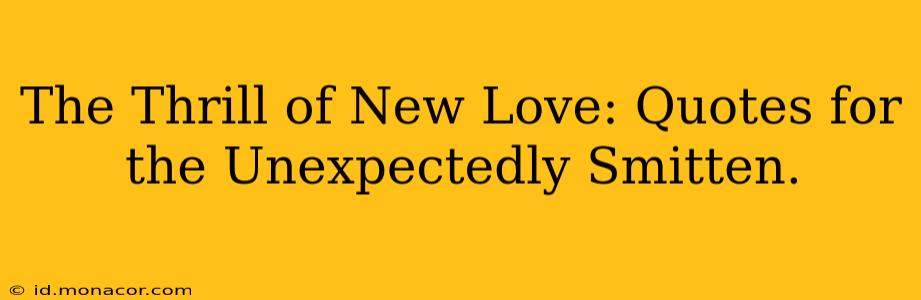 The Thrill of New Love: Quotes for the Unexpectedly Smitten.