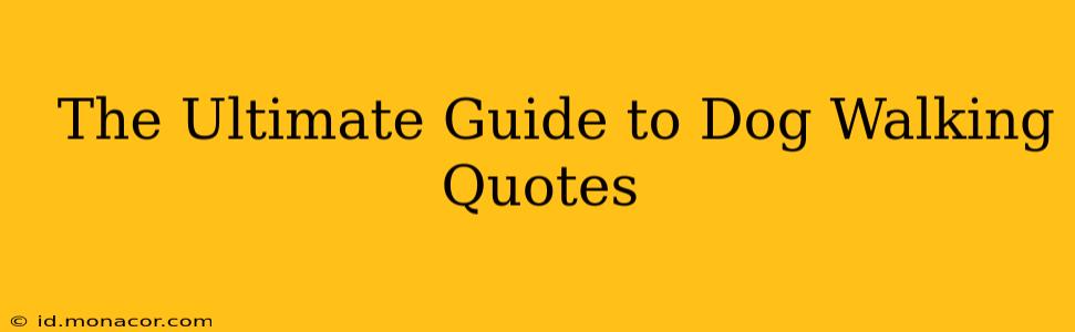  The Ultimate Guide to Dog Walking Quotes