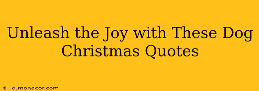 Unleash the Joy with These Dog Christmas Quotes