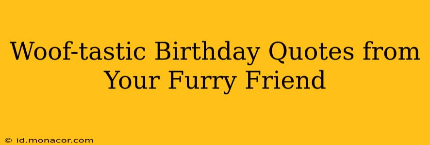 Woof-tastic Birthday Quotes from Your Furry Friend